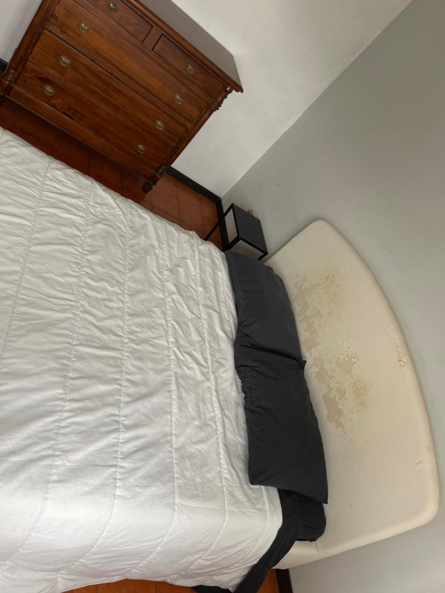 Ciamarra Rooms Roma Dış mekan fotoğraf